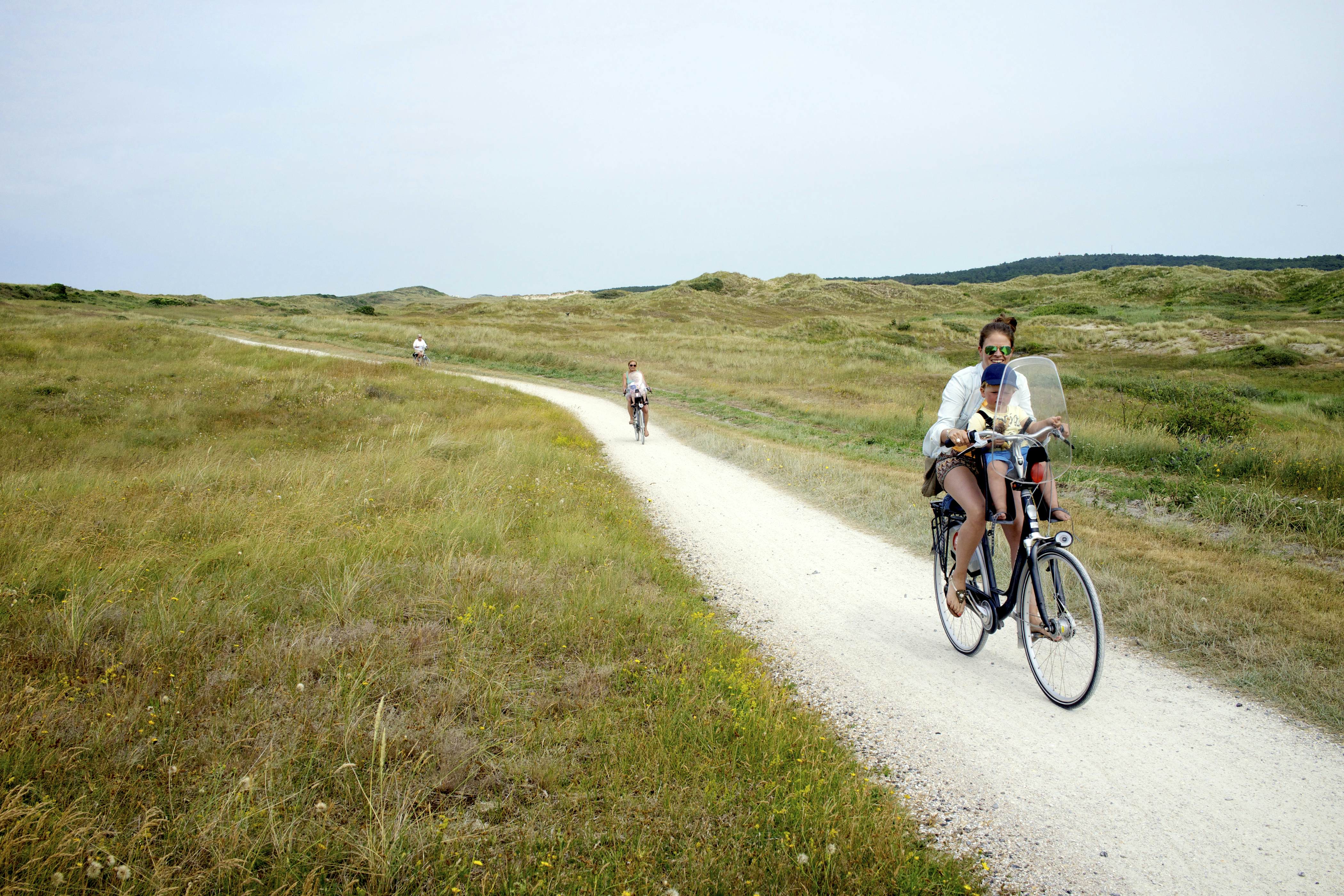 The Netherlands' 11 best cycling routes and locations Lonely